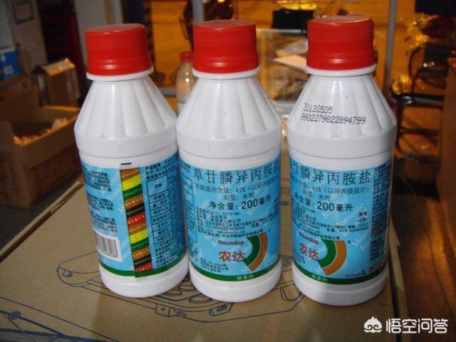 草甘膦如何使用效果好？